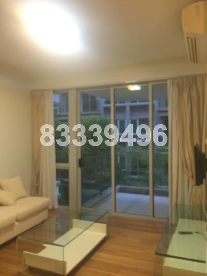 8 @ Mount Sophia (D9), Condominium #124729142